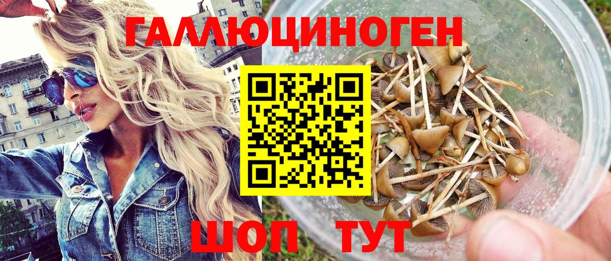 Галлюциногенные грибы Magic Shrooms Сертолово